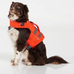 Hunde Weste Schwimmweste CFD Für Kleintiere - NRS