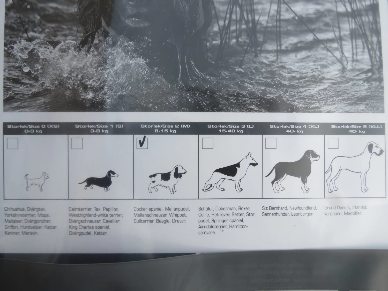 Hunde Weste Schwimmweste Mascot - Baltic - Image 2